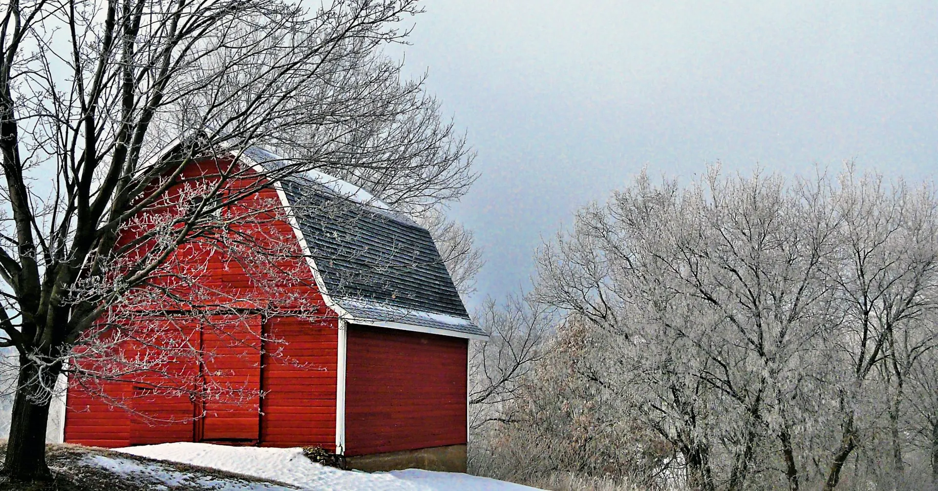 Red barn in winter at Infinity Farm, Cannon Falls, Minnesota