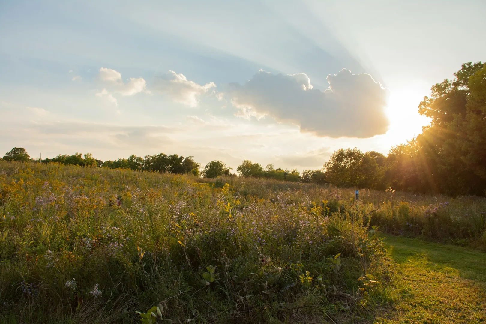 Rural sunset over the countryside near Cannon Falls, Minnesota